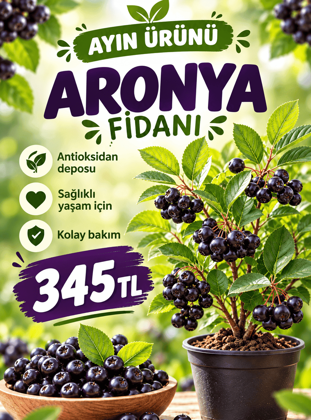 Bitki Fidan Resim - 1
