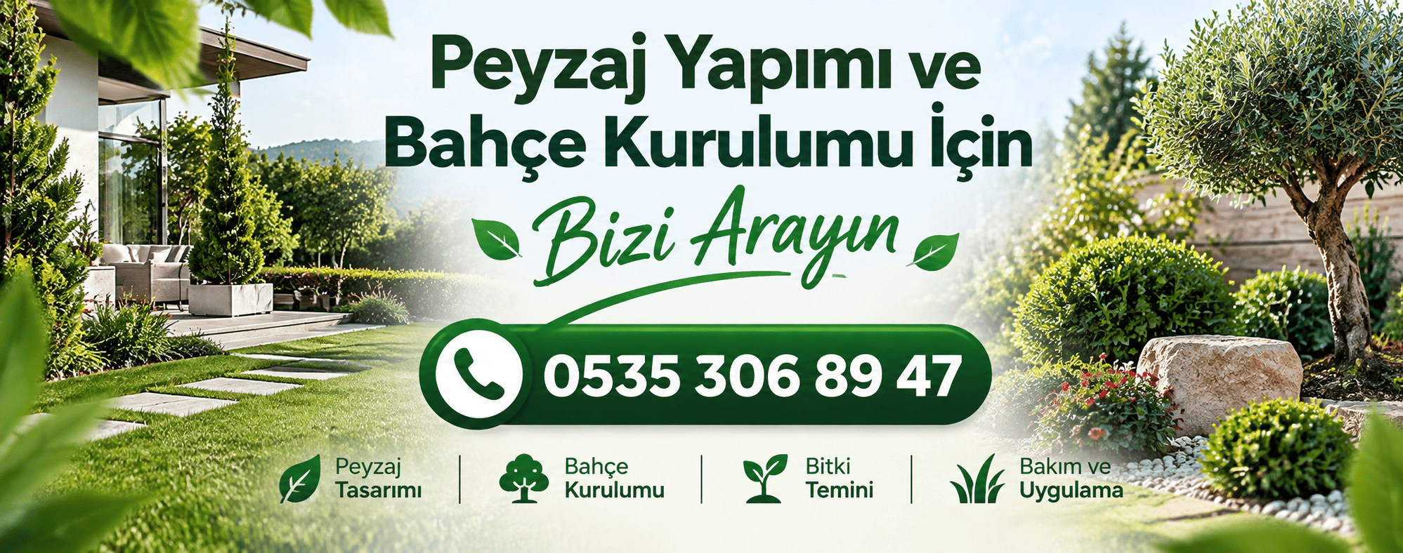 Bitki Fidan Resim - 3