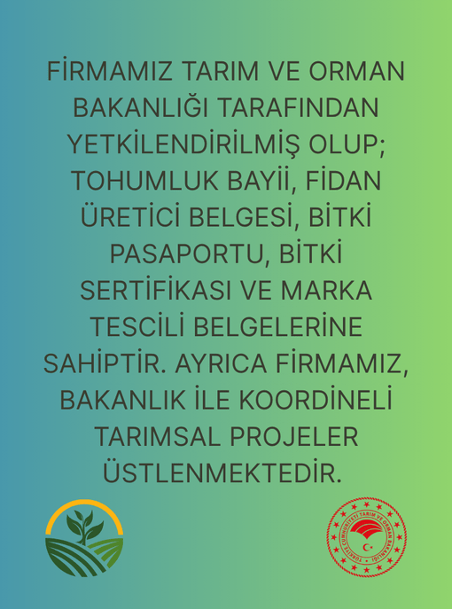 Bitki Fidan Resim - 4
