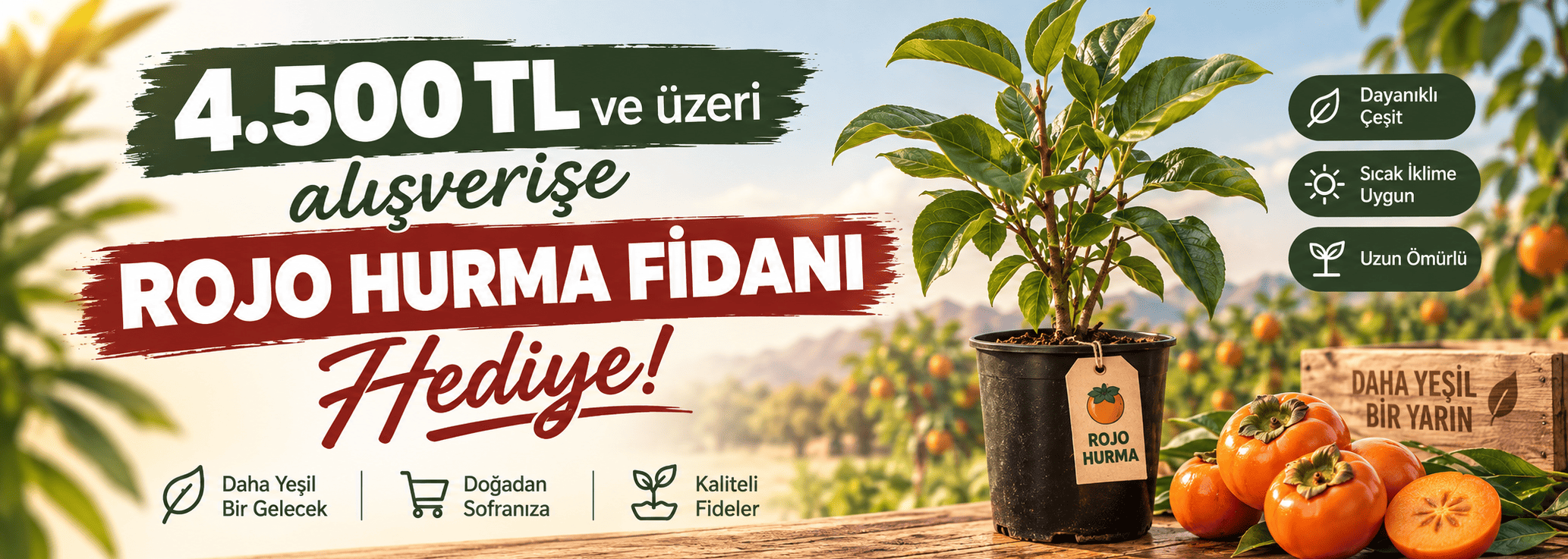 Bitki Fidan - 2