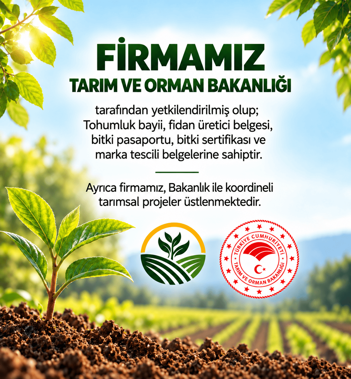 Bitki Fidan Resim - 4