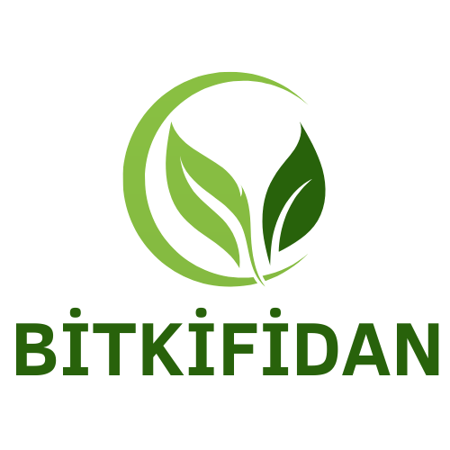 BİTKİFİDAN