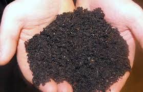 1 Kg Organik Solucan Gübresi