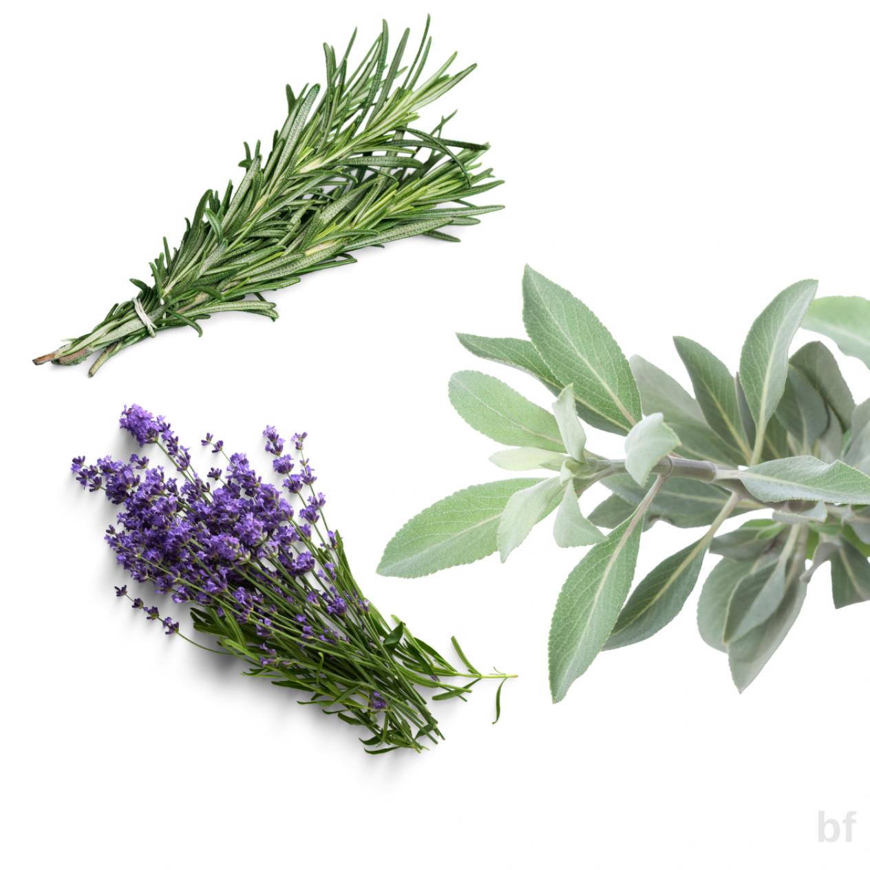 10 'lu Tıbbı Aromatik Bitki Paketi