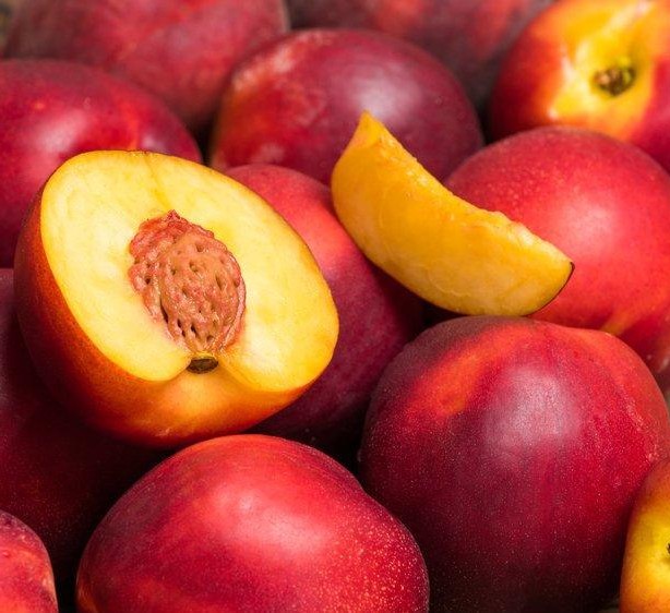 3 Yaş Bigtop Nektarin Fidanı