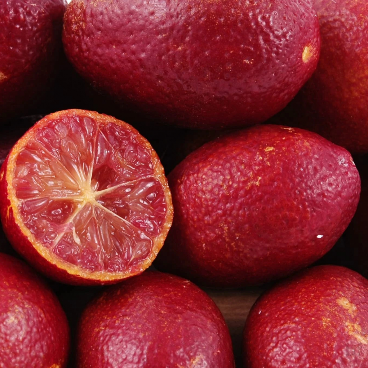 3 Yaş Blode Lime(kırmızı Limon) Fidanı