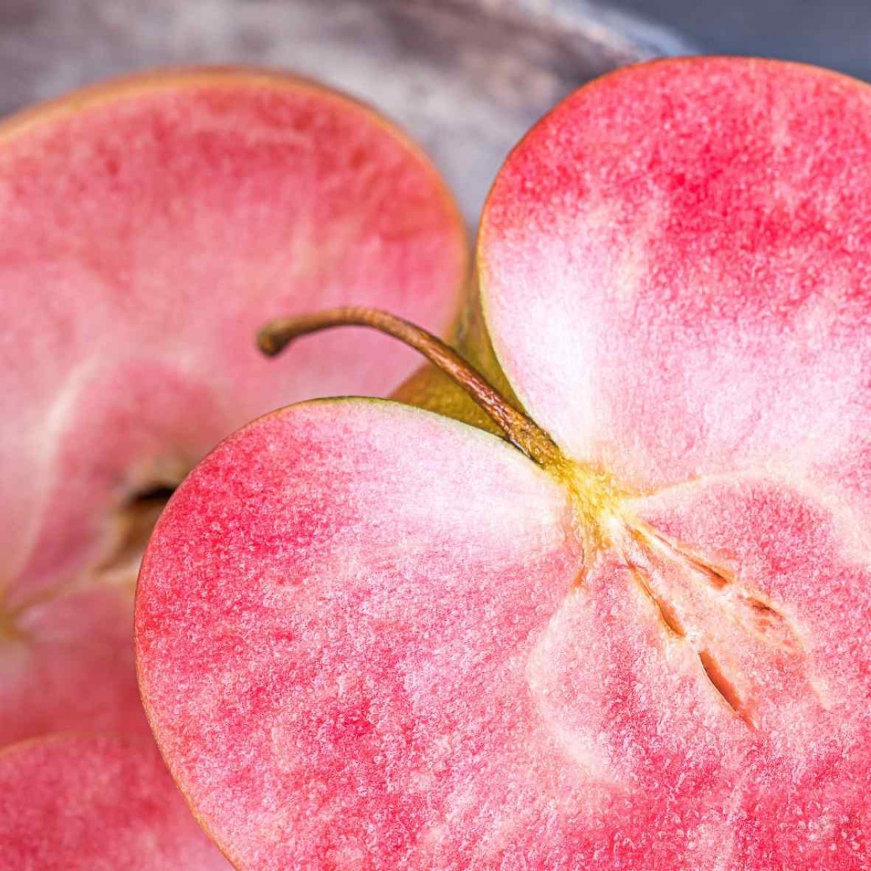 3 Yaş Red Apple İçi Dışı Kırmızı Elma Fidanı 3 Yaş Red Apple İçi Dışı Kırmızı Elma Fidanı