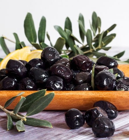 4 Yaş Gemlik Zeytin Fidanı 4 Yaş Gemlik Zeytin Fidanı