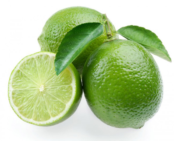 5 Yaş Aşılı Mexian Lime ( Yeşil Limon) Fidanı