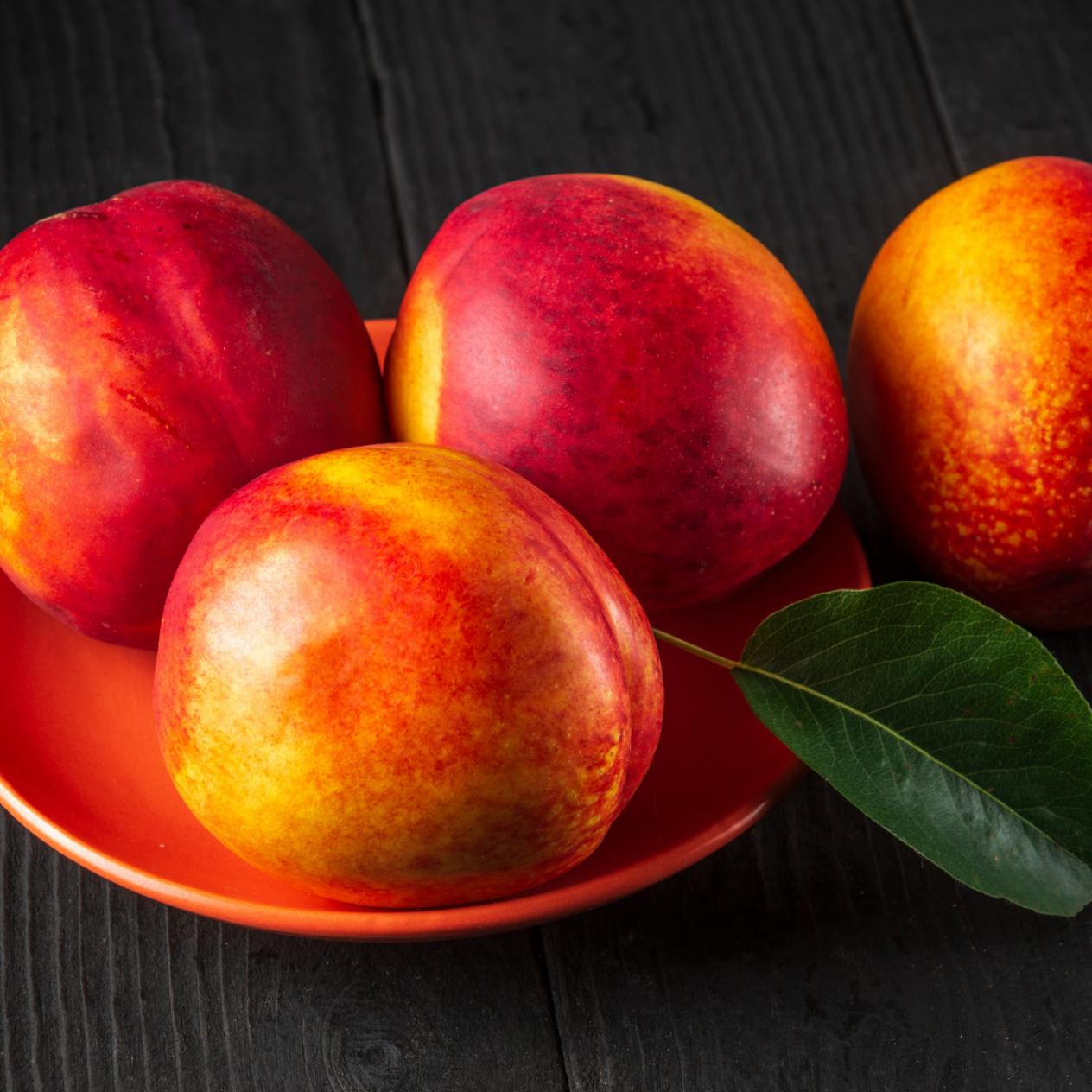 6 Yaş Bigtop Nektarin Fidanı 6 Yaş Bigtop Nektarin Fidanı