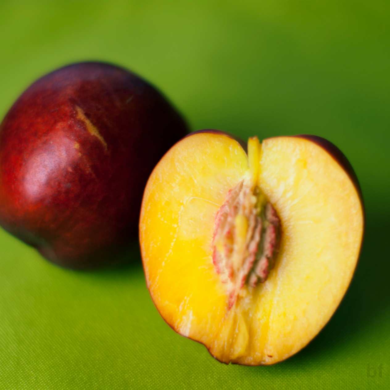 6 Yaş Venüs Nektarin Fidanı 6 Yaş Venüs Nektarin Fidanı