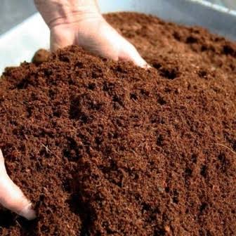 Yaban Mersini Fidanı ve Dikim Seti Yaban Mersini Fidanı ve Dikim Seti