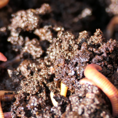 1 Kg Organik Solucan Gübresi 1 Kg Organik Solucan Gübresi