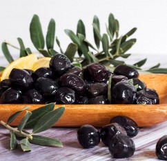 10 Adet Gemlik Zeytin Fidan Paketi-2 Yaş