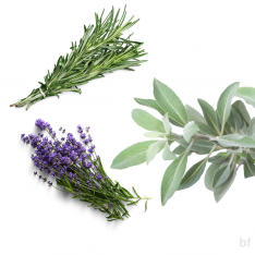 10 'lu Tıbbı Aromatik Bitki Paketi