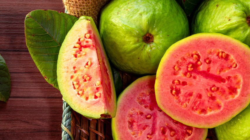 2 Yaş Guava Fidanı