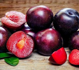 3 Yaş Aşılı Black Splendor Erik Fidanı