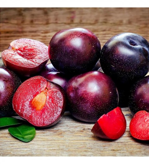 3 Yaş Aşılı Black Splendor Erik Fidanı