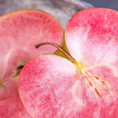 3 Yaş Red Apple İçi Dışı Kırmızı Elma Fidanı