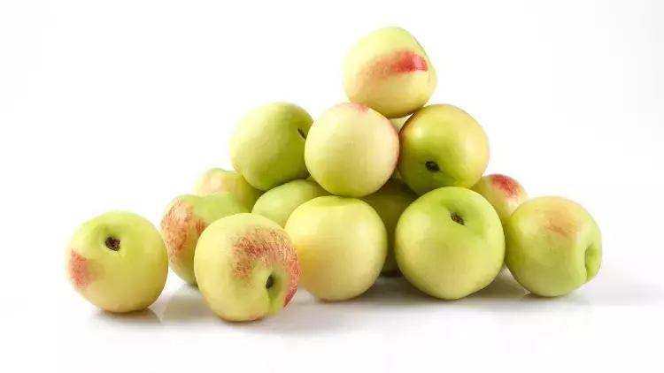 4 Yaş Bodur Beyaz Nektarin (bayramiç Beyazı)