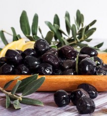 4 Yaş Gemlik Zeytin Fidanı