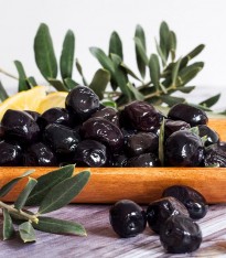 5 Yaş Gemlik Zeytin Fidanı