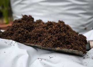 Agaris 250 Lt İthal Torf