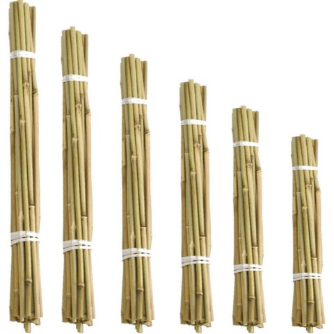 BİTKİ DESTEK ÇUBUĞU BAMBU 10 ADET 105 cm