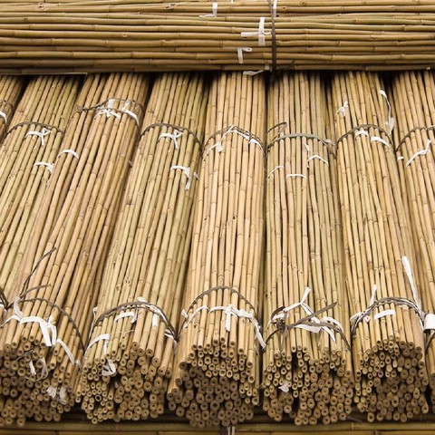 Bitki Destek Çubuğu Bambu 10 ADET-180 CM