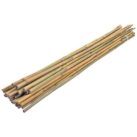 Bitki Destek Çubuğu Bambu 10 ADET-180 CM
