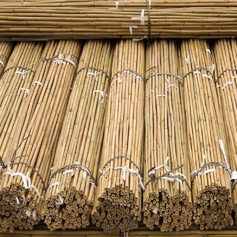 BİTKİ DESTEK ÇUBUĞU BAMBU 10 ADET-75 cm
