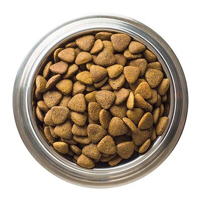 Sokak Hayvanları için 1KG Mama bağışı